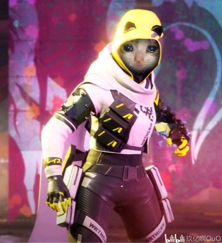 数据是这套 数据是这套